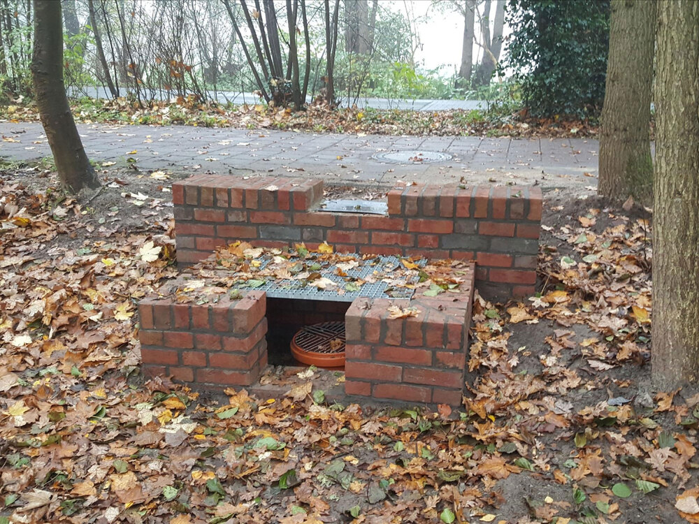 Sanierung der historischen Parkanlage Philippsburger Park in Loga 2 Uberlauf Sumpfflache offtl. Ka