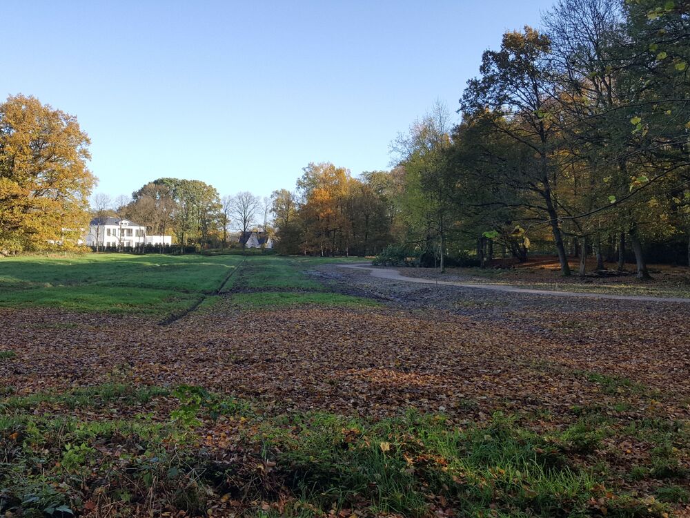 Neuer Weg im Philippsburger Park