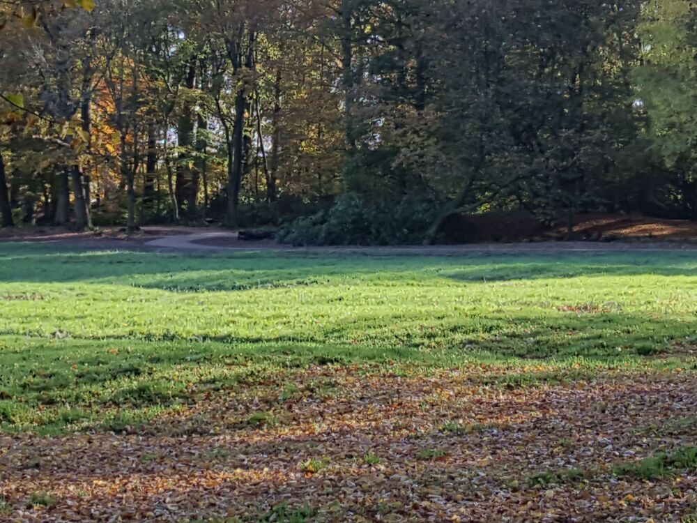 Sanierung der historischen Parkanlage Philippsburger Park in Loga 1 Neuer Weg im Philippsburger Park in Loga